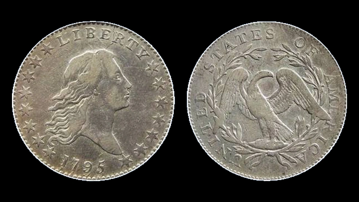 1795 Flowing Hair Half Dollar: Repunched Date