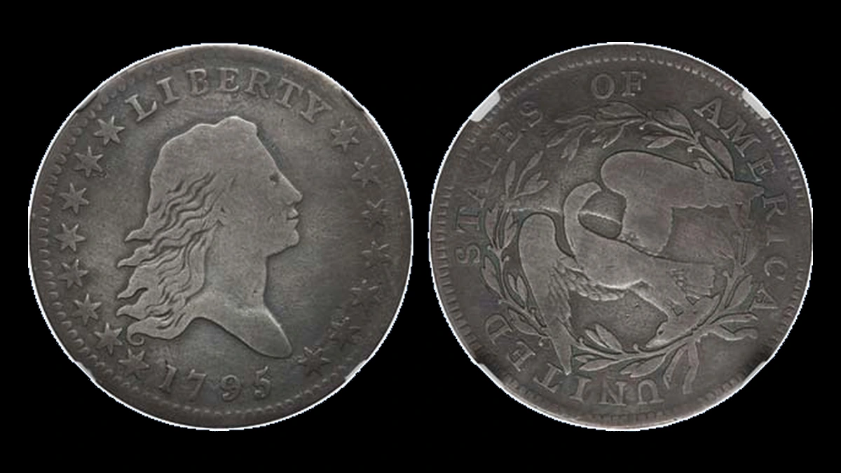 1795 Flowing Hair Half Dollar: Die Crack / Die Chip