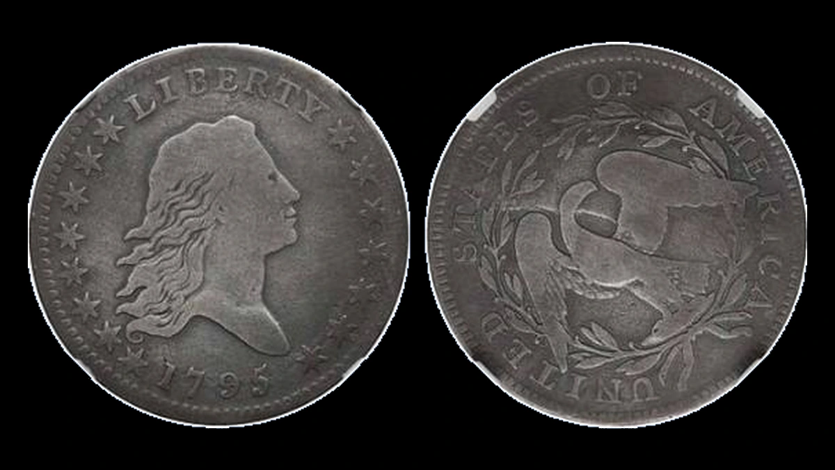 1795 Flowing Hair Half Dollar: Die Break / Cud