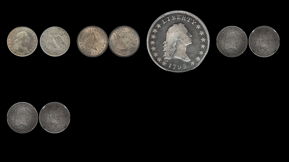 1795 Half Dollar Errors — error coin photographs