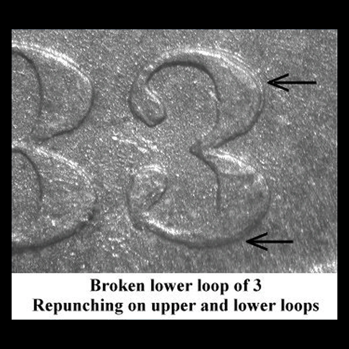 1883 Liberty Seated dime: an incomplete lower loop of 3 from a shallow date punch