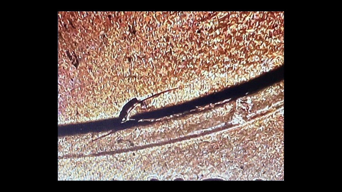 2018 Lincoln Cent (Modern): Die Crack
