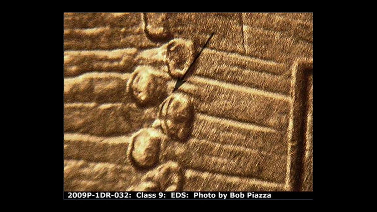 2009 Lincoln Penny: Birth and Childhood Doubled Die Reverse