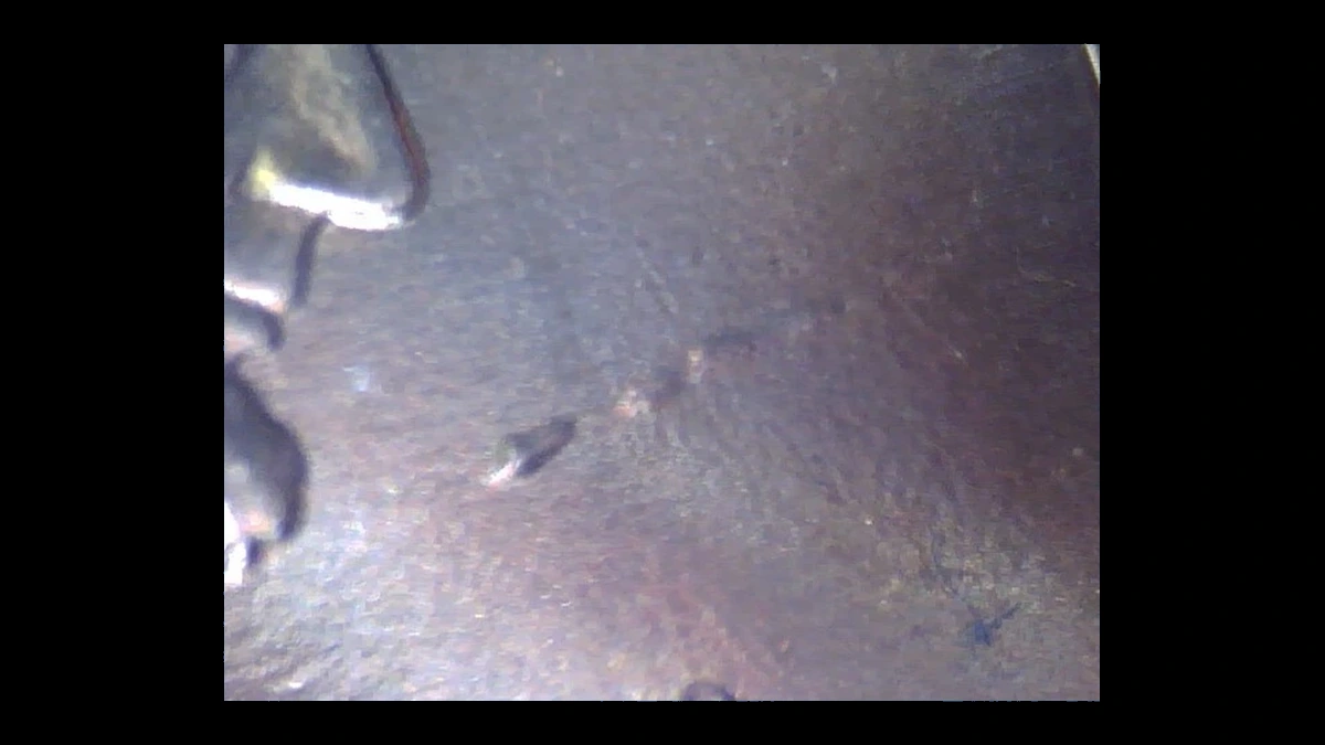 2013 Lincoln Cent (Modern): Plating Error