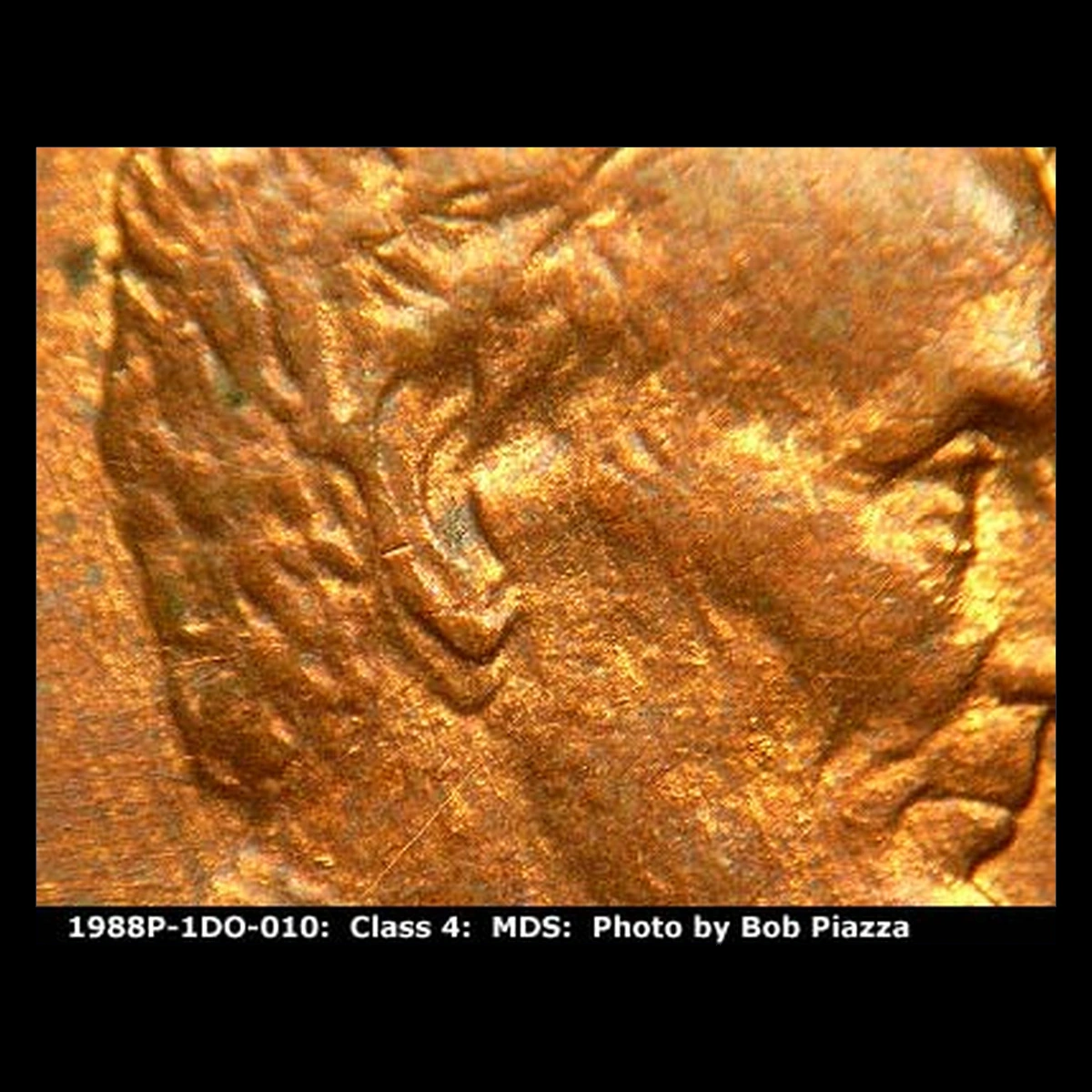 1988 Lincoln Penny: Doubled Ear