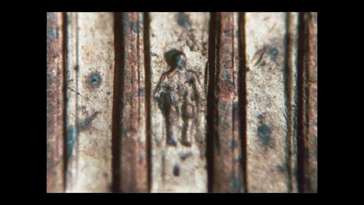 1993 Lincoln Cent (Modern): Doubled Die Reverse