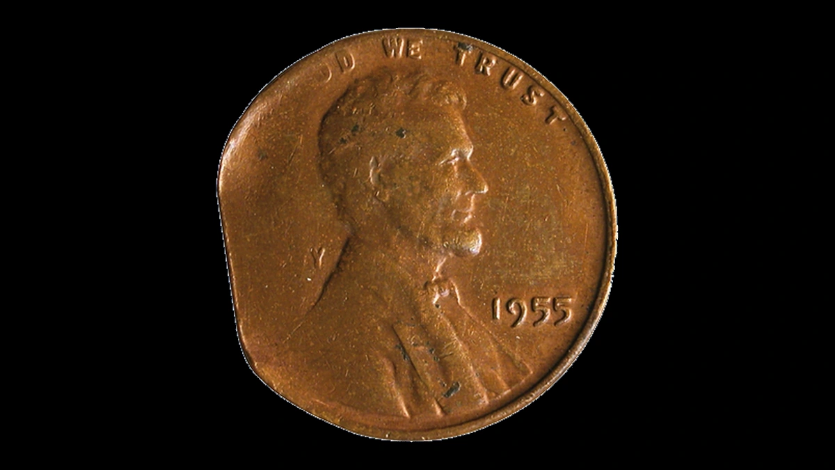1955 Lincoln Cent (Wheat Reverse): Thin Thick Planchet