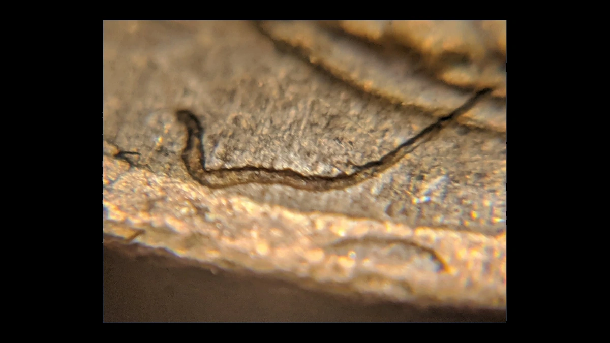 1948 Wheat Penny: Struck-Through Error