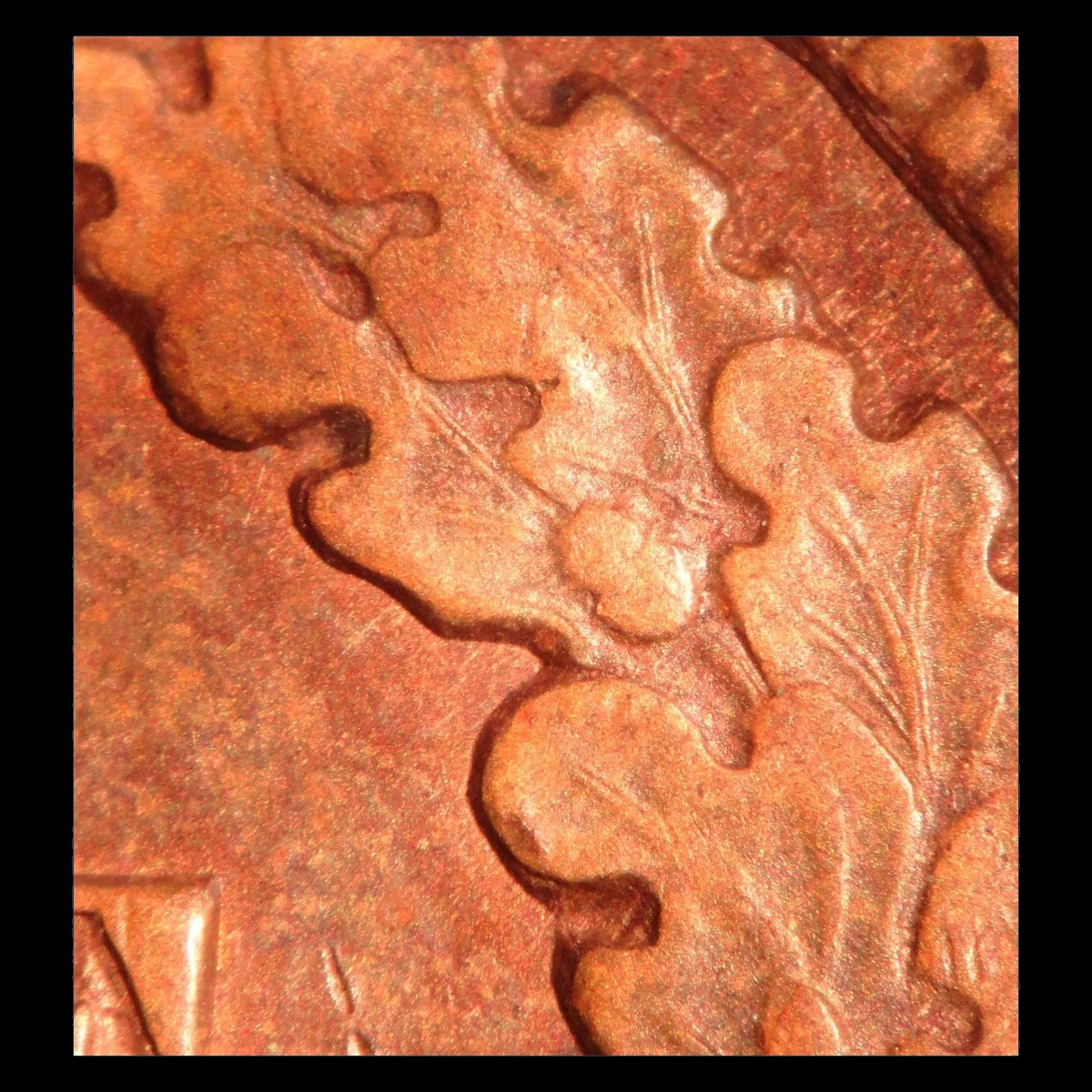 1905 Indian Head Penny: Doubled Die Reverse