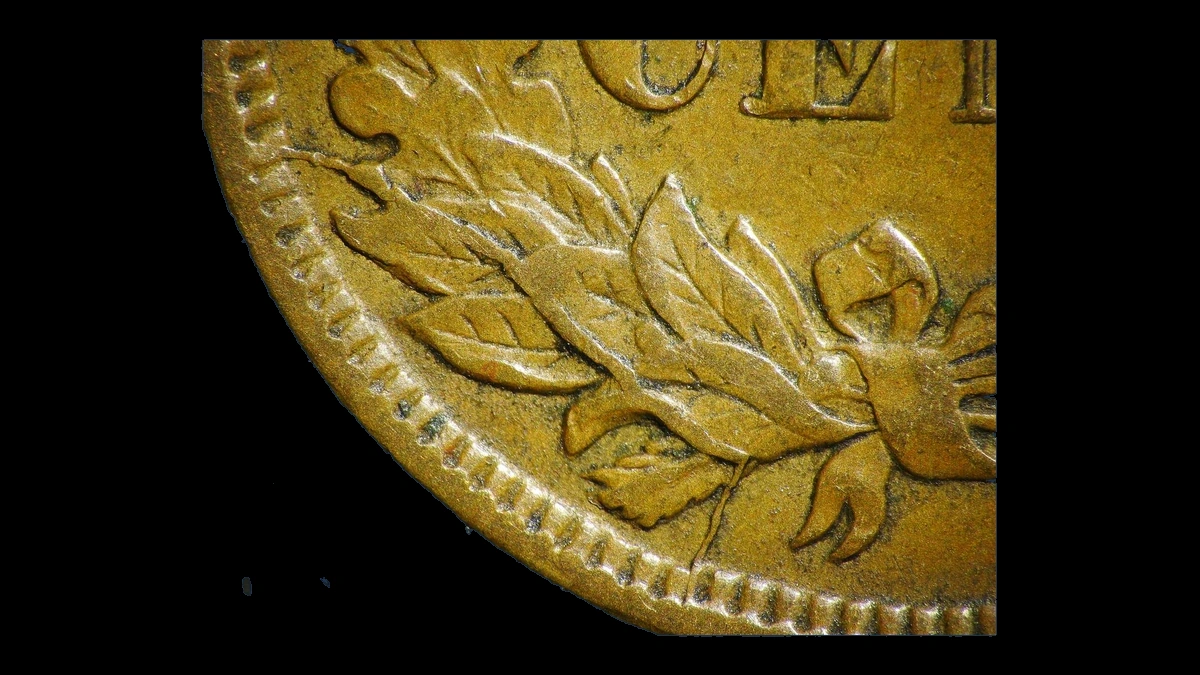 1906 Indian Head Penny: Die Break / Cud