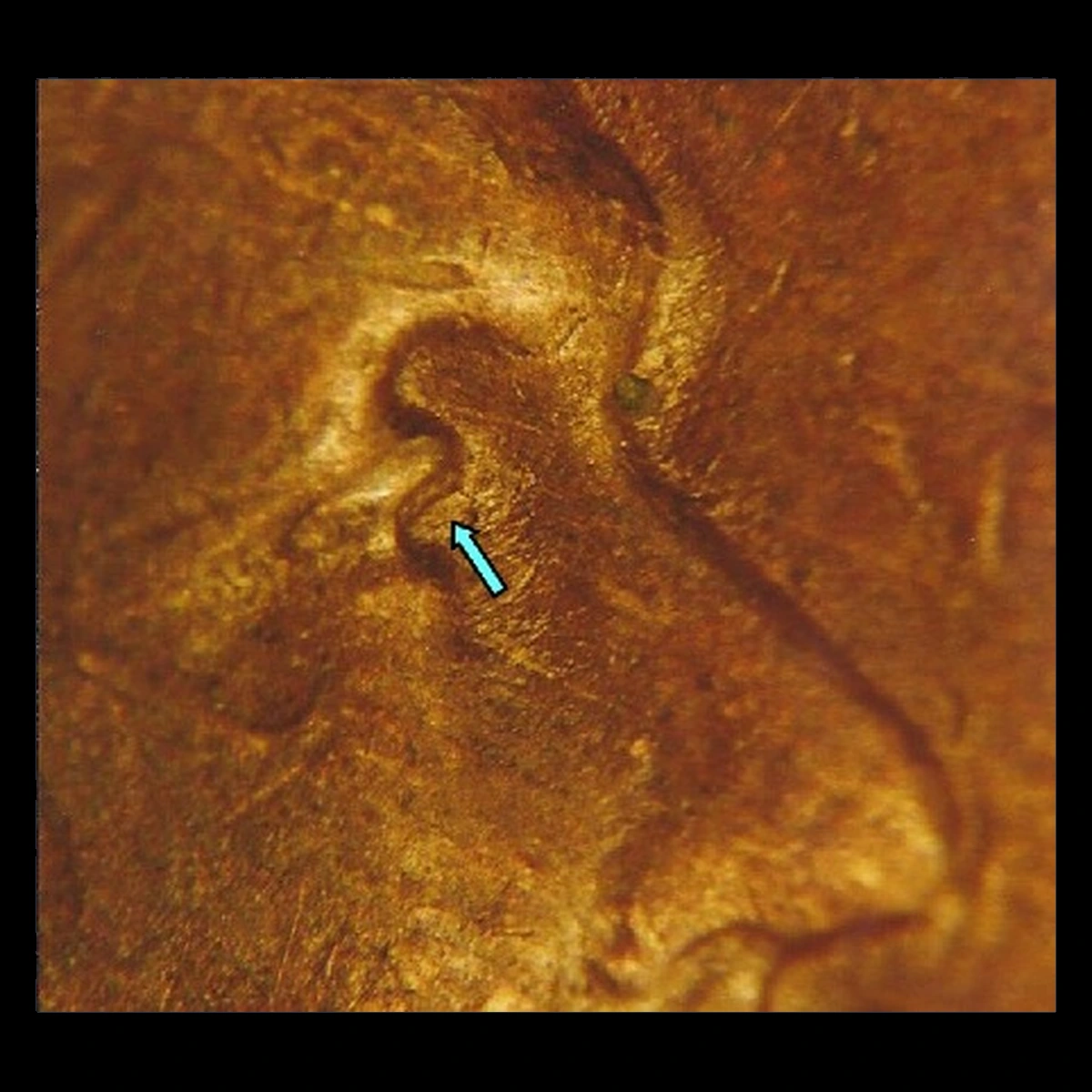 1930 Lincoln Cent (Wheat Reverse): Doubled Die Obverse
