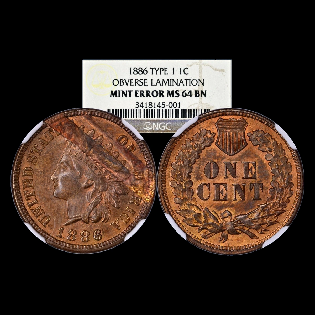 1886 Indian Head Penny: Repunched Date