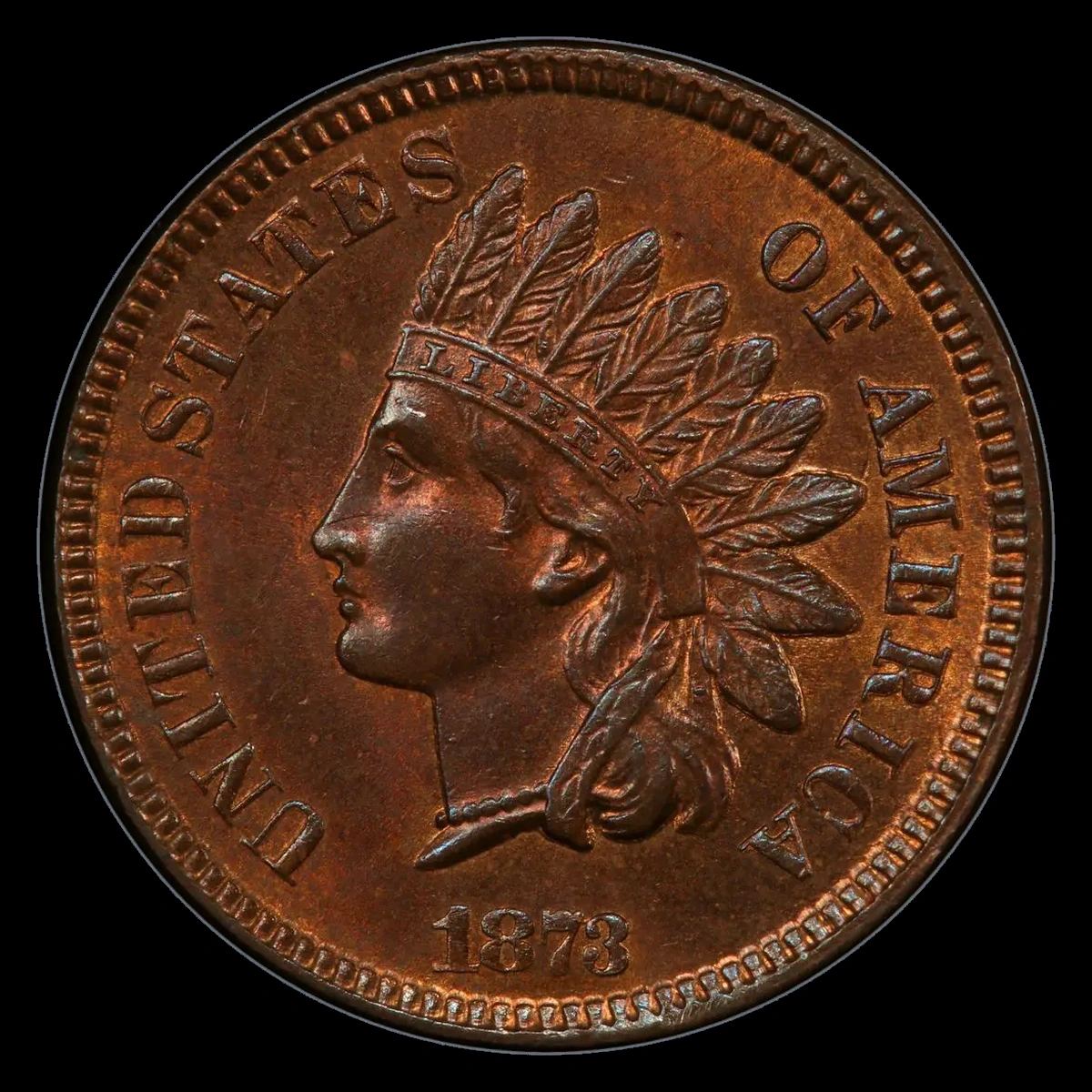 1873 Indian Head Penny: Doubled Die Obverse