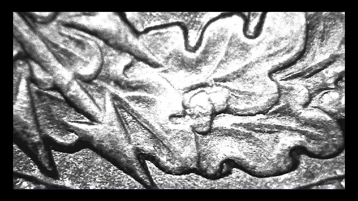 1903 Indian Head Penny: Doubled Die Reverse