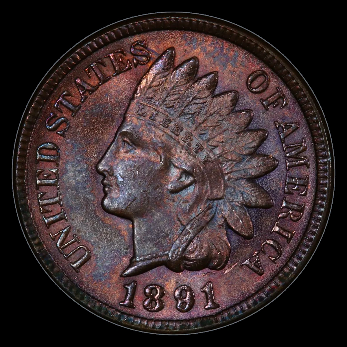 1891 Indian Head Penny: Doubled Die Obverse