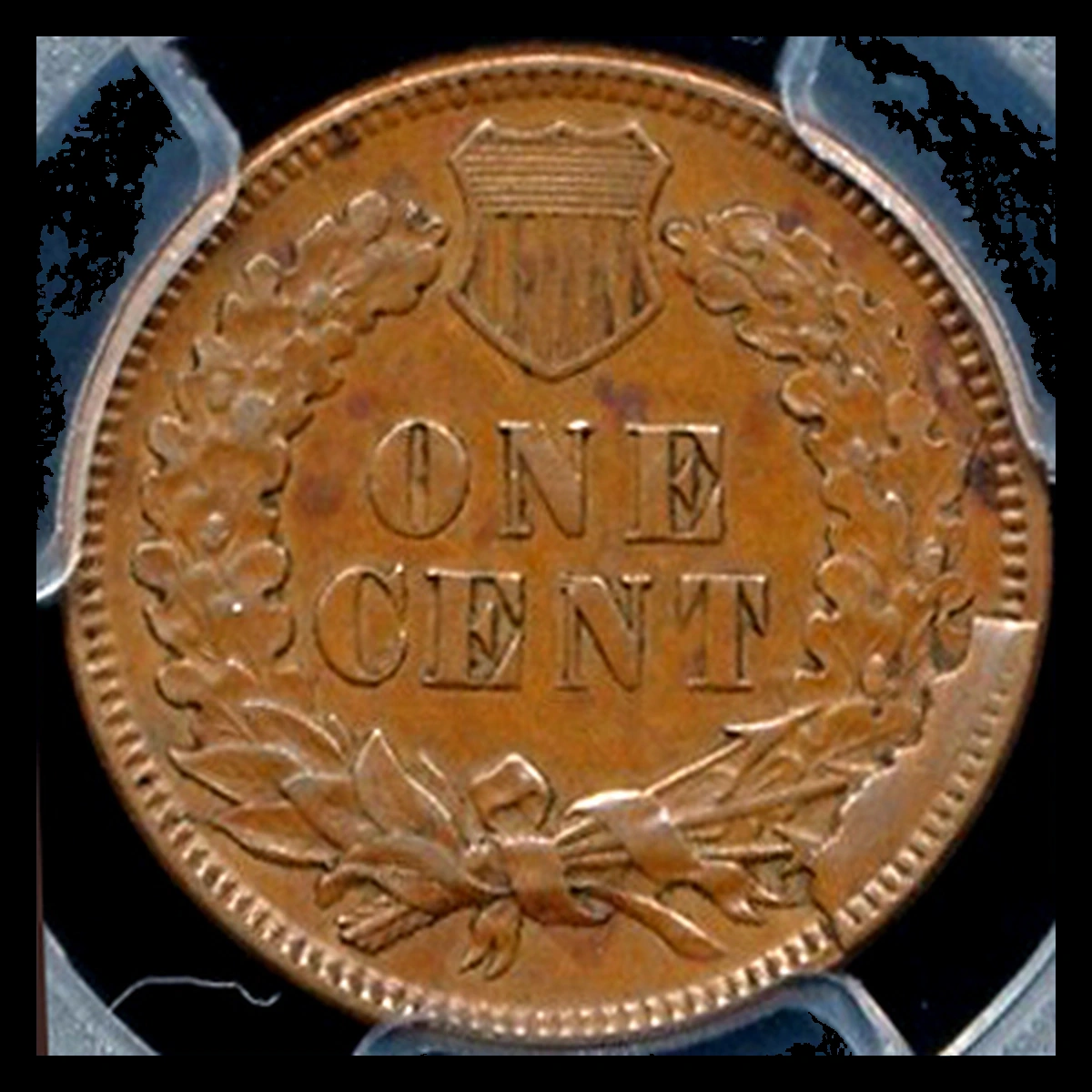 1875 Indian Head Penny: Die Break / Cud