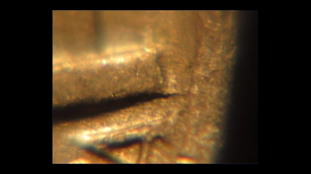 1980 Jefferson Nickel: Die Crack / Die Chip