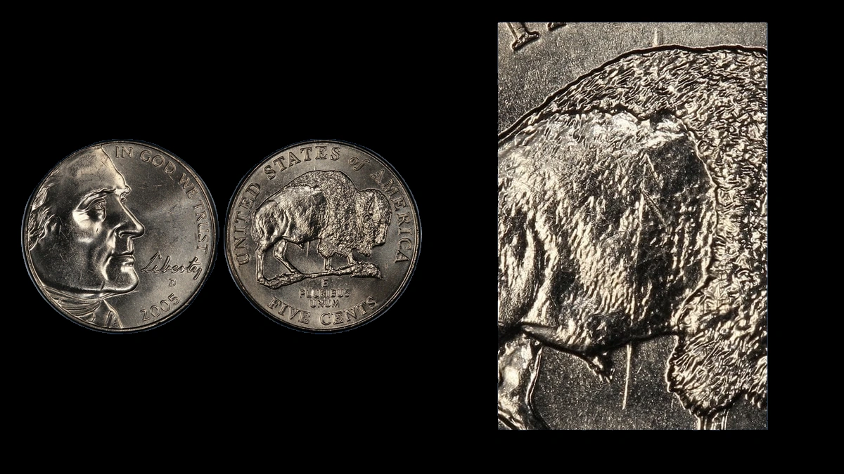 2005 Jefferson Nickel: Speared Bison die gouge