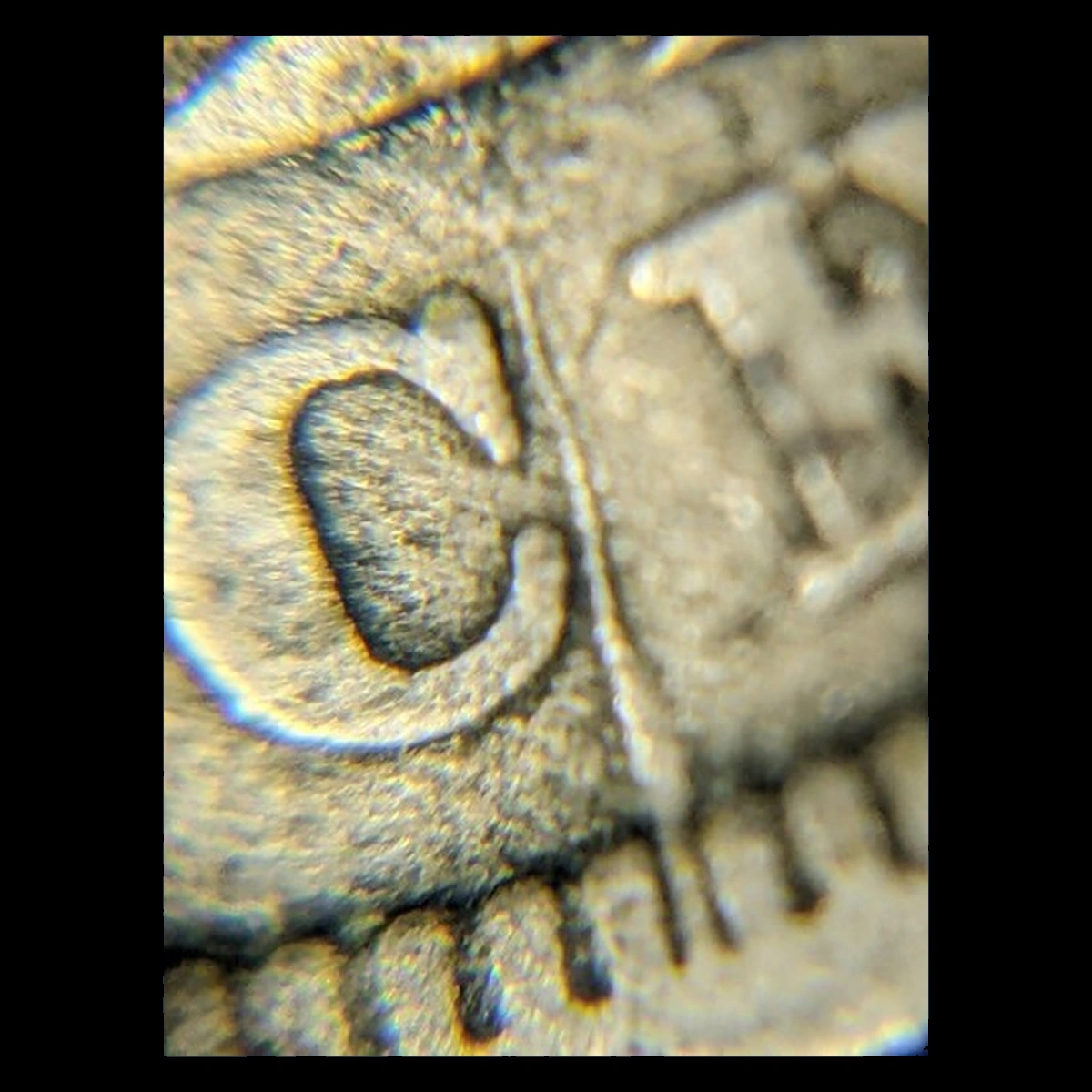 1906 Liberty Nickel: Die Crack