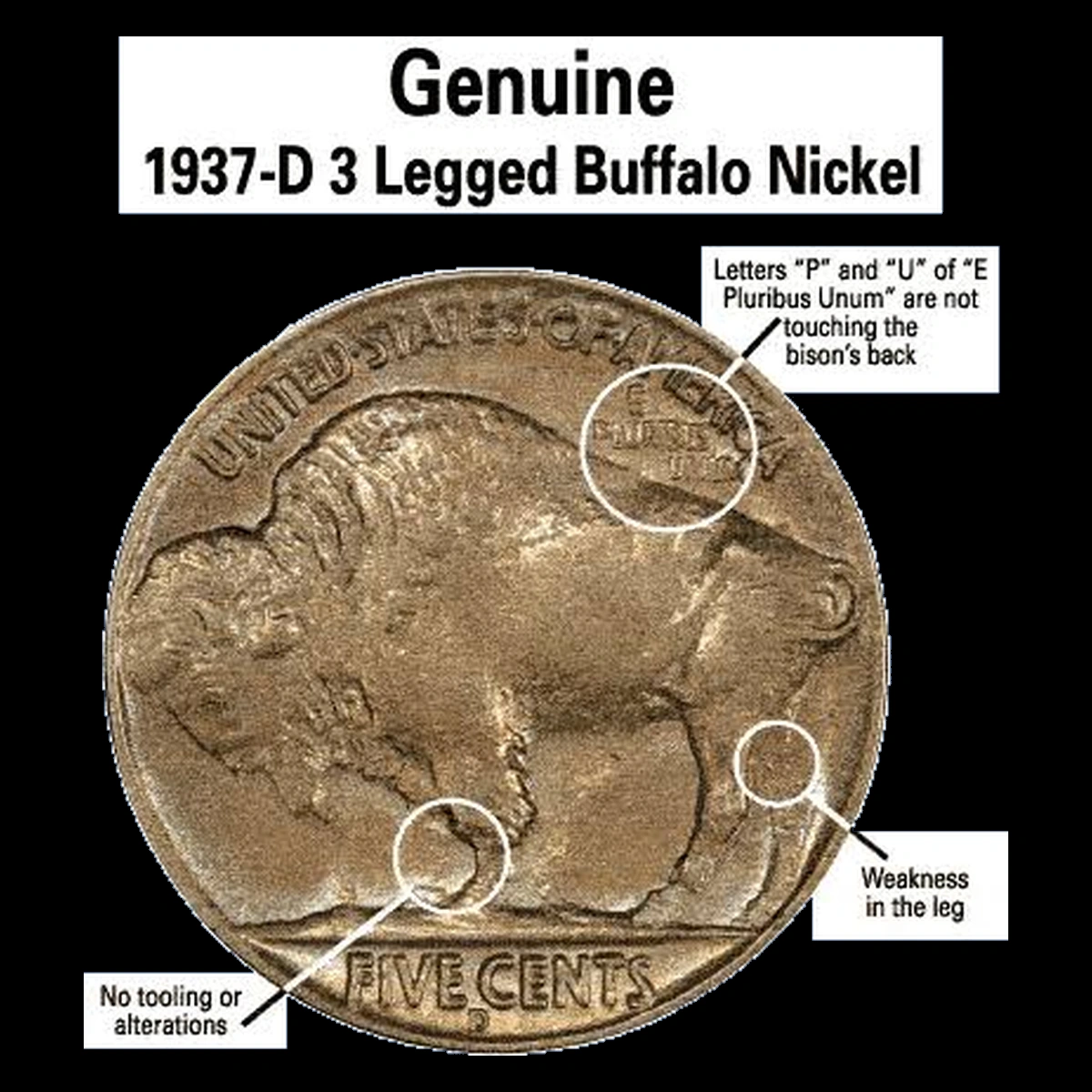1937 Buffalo Nickel: Overpolished Die