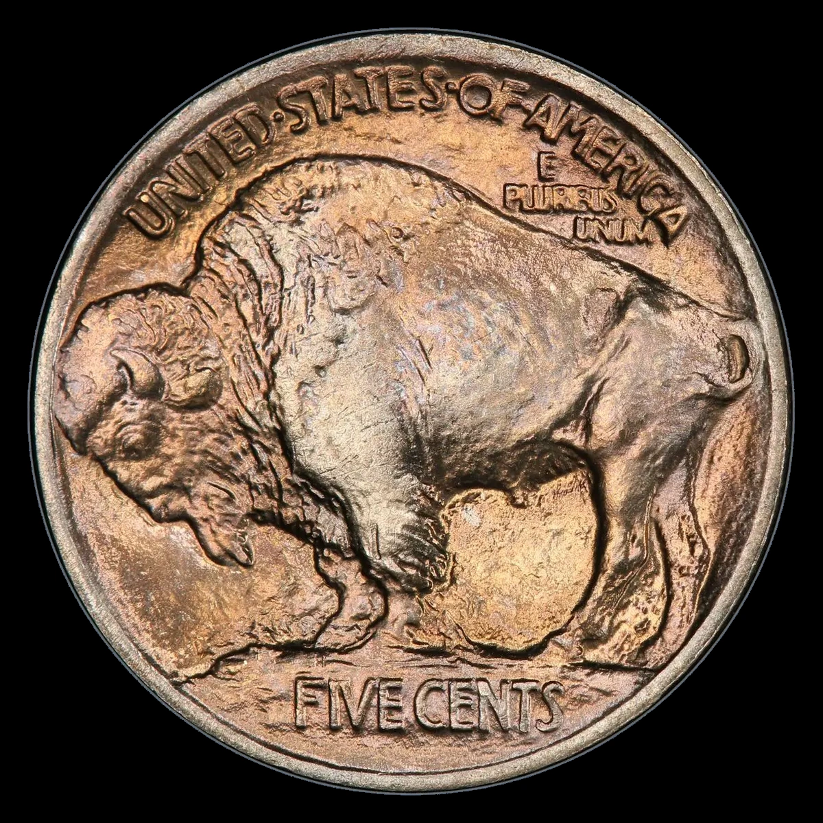 1913 Buffalo Nickel: Doubled Die Reverse
