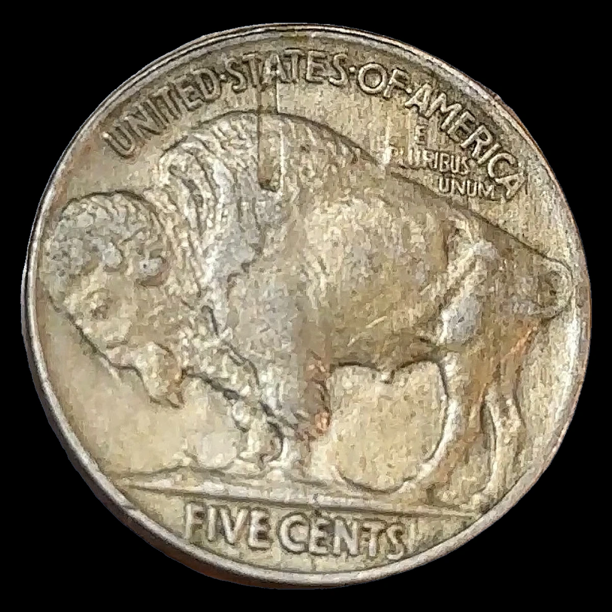 1919 Buffalo Nickel: Struck-Through Error