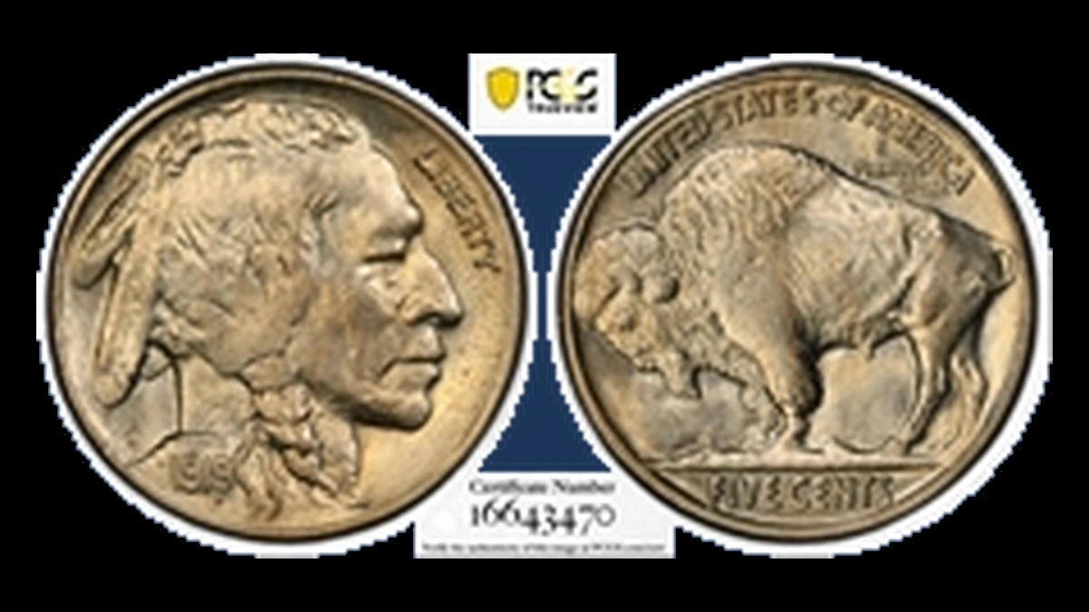 1919 Buffalo Nickel: Dropped Filling / Dropped Element