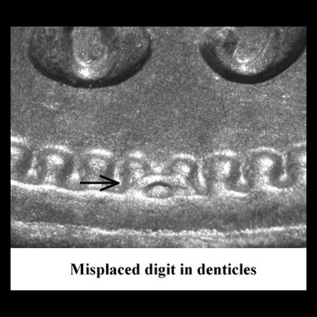 1891 Liberty Seated Dime: Misplaced Date