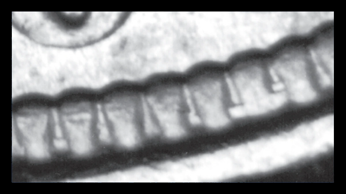1905 Liberty Nickel: Misplaced Date
