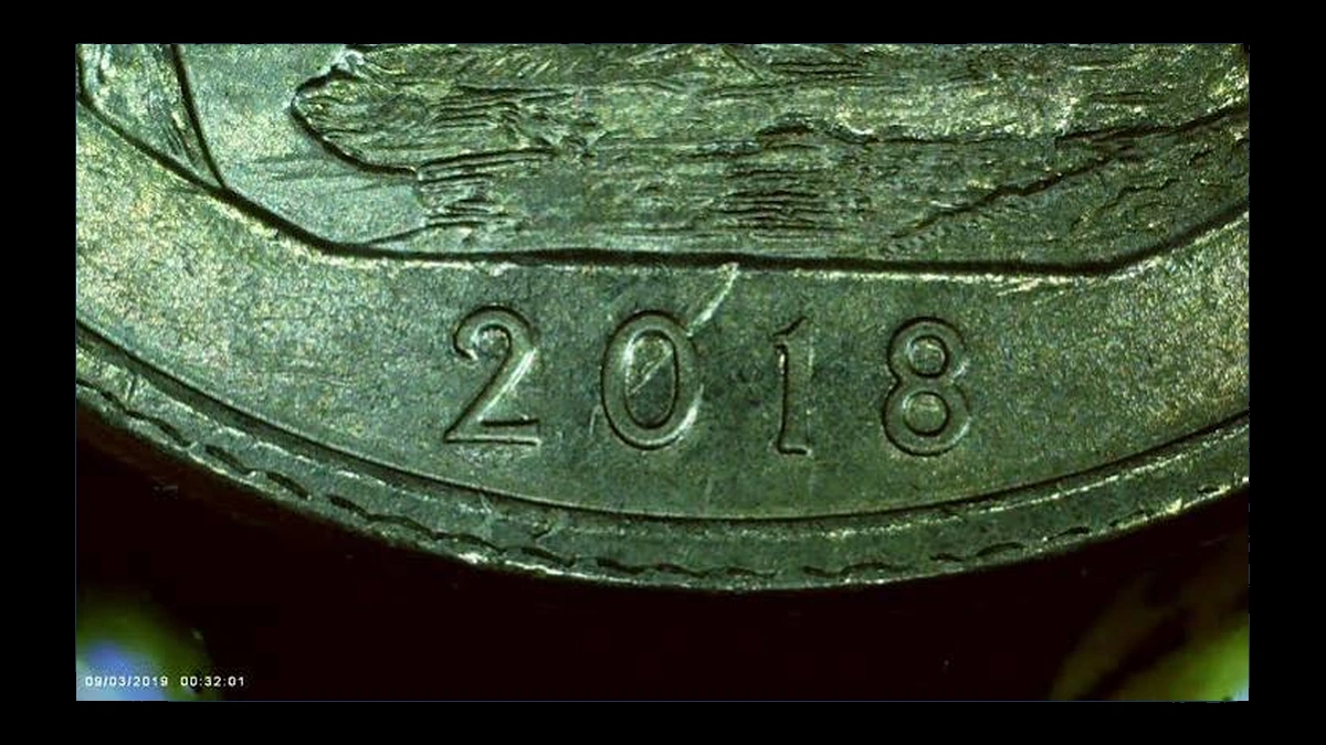 2018 Quarter: Pictured Rocks — Die Gouge / Named Raised-Line Variety