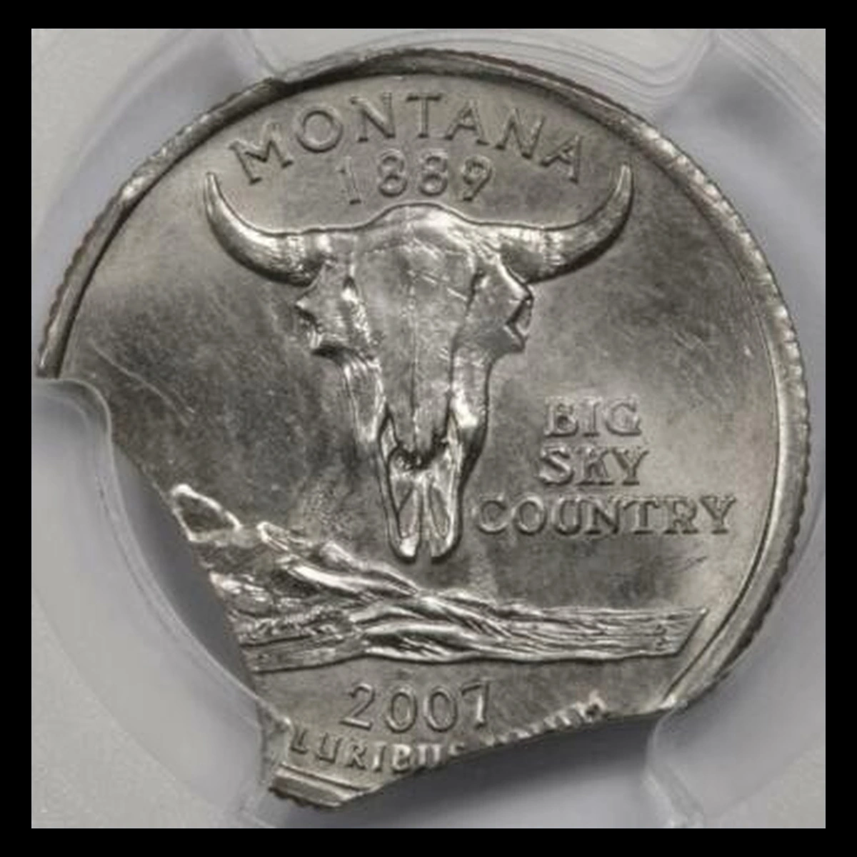 2007 Washington 50 States Quarters: Clipped Planchet