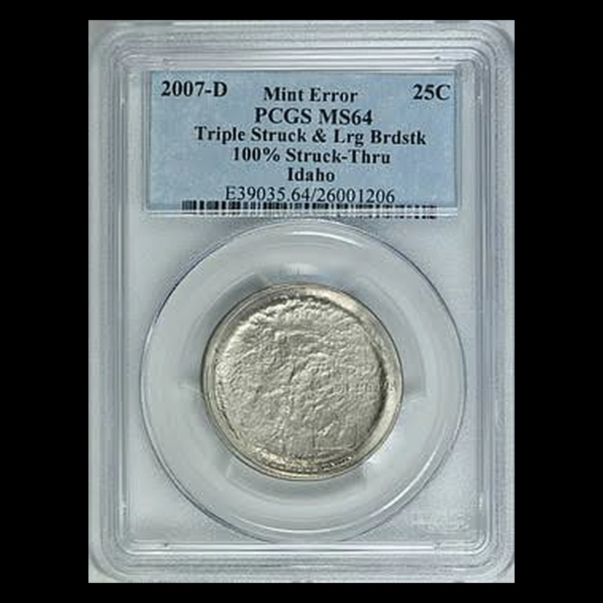 2007 Quarter: Struck-Through Error