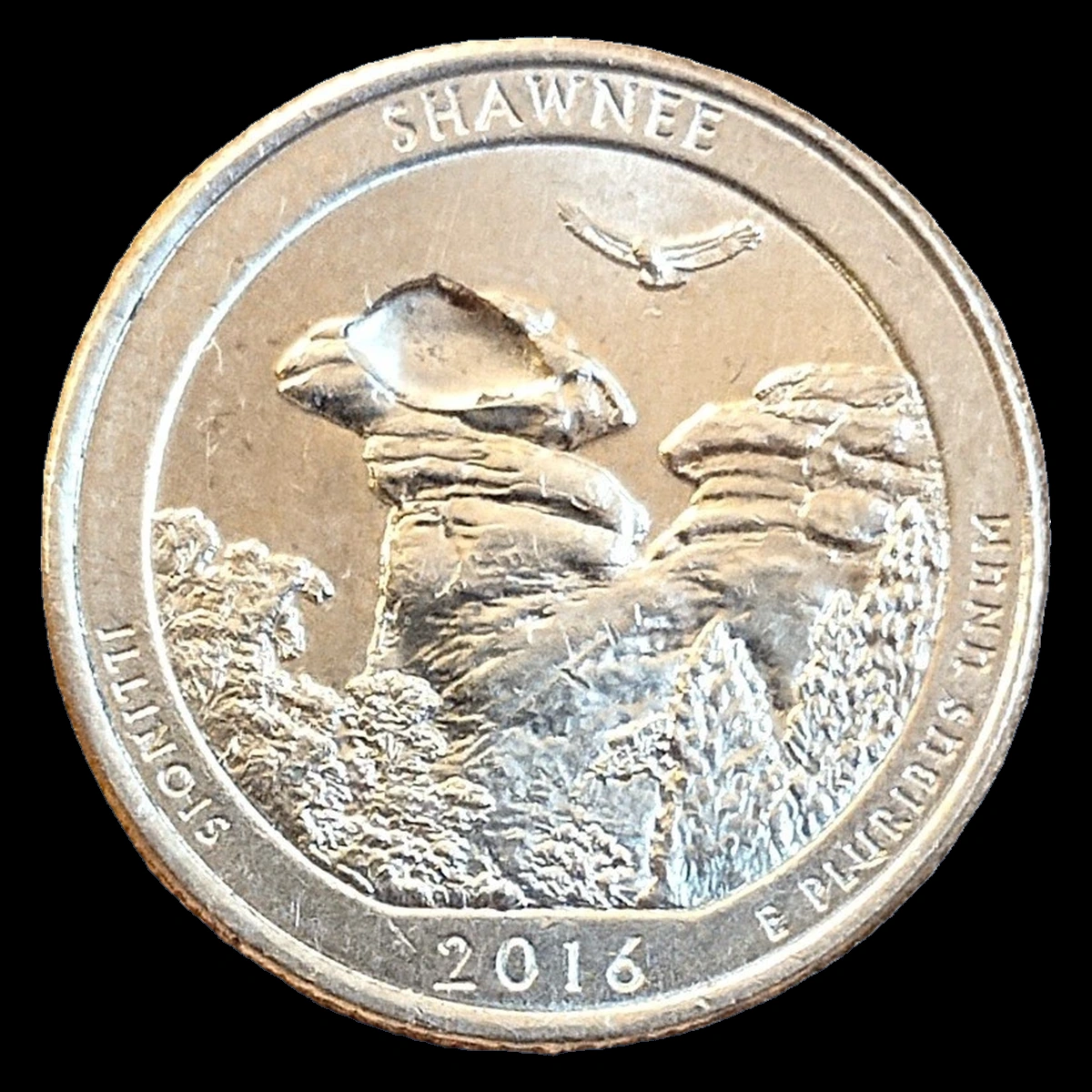 2016 Quarter: Shawnee — Struck-Through Error