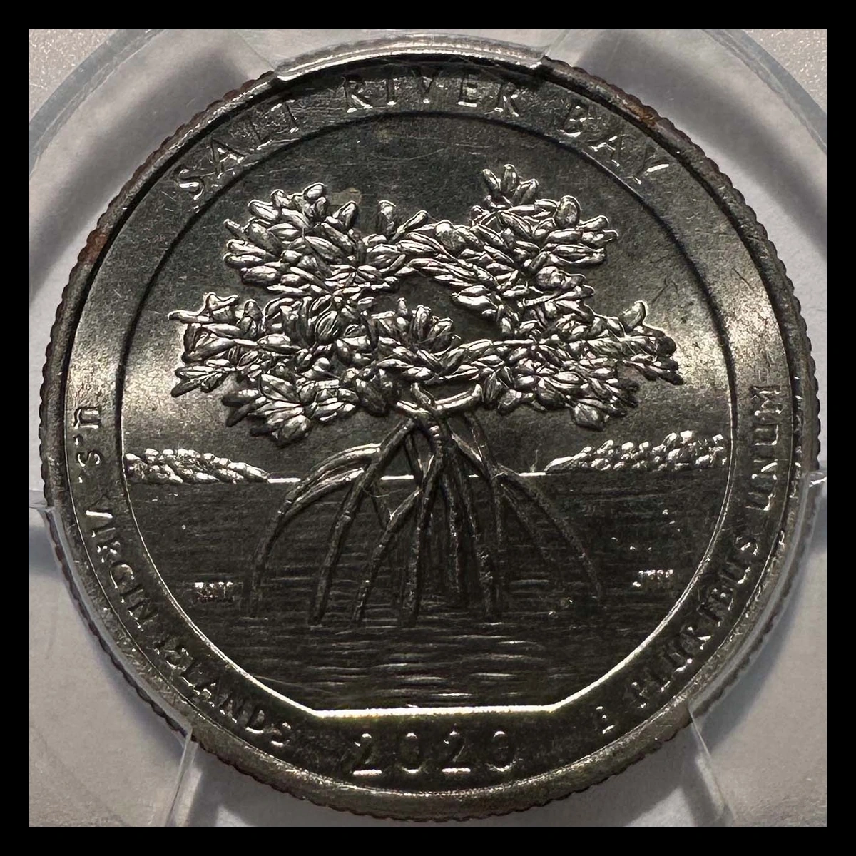 2020 Quarter: Double Strike — Salt River Bay
