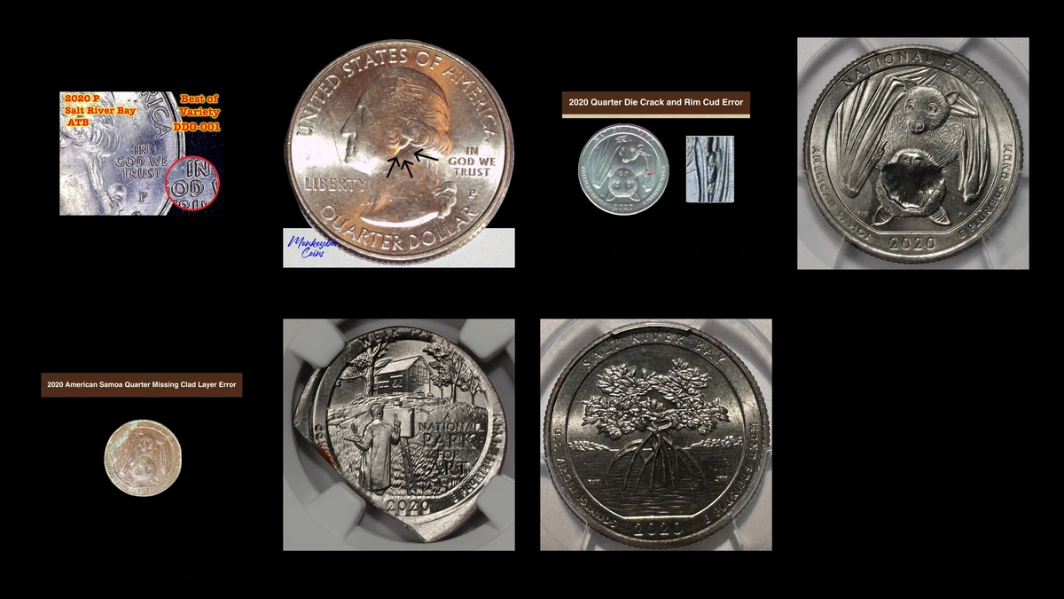 2020 Quarter Errors — error coin photographs