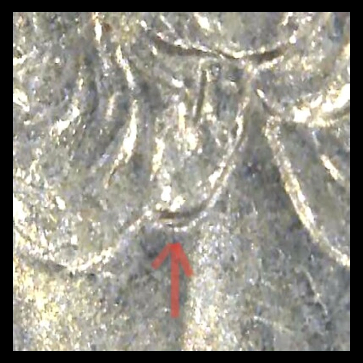 2008 Quarter: Doubled Die Obverse