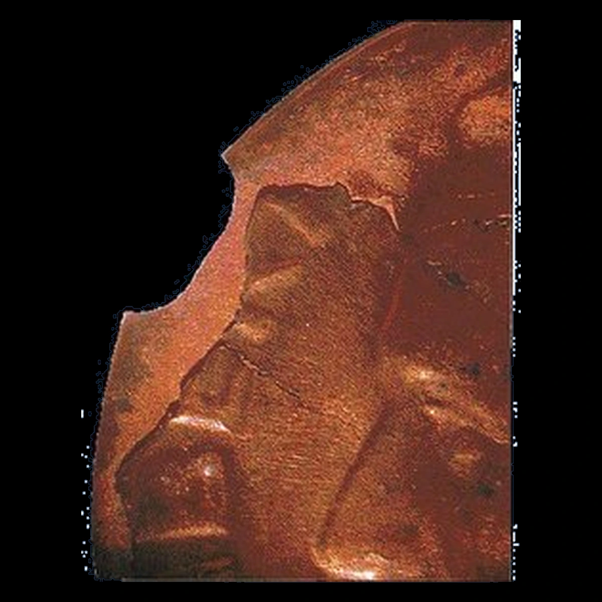 1981 Roosevelt Dime: copper core with surface flaking