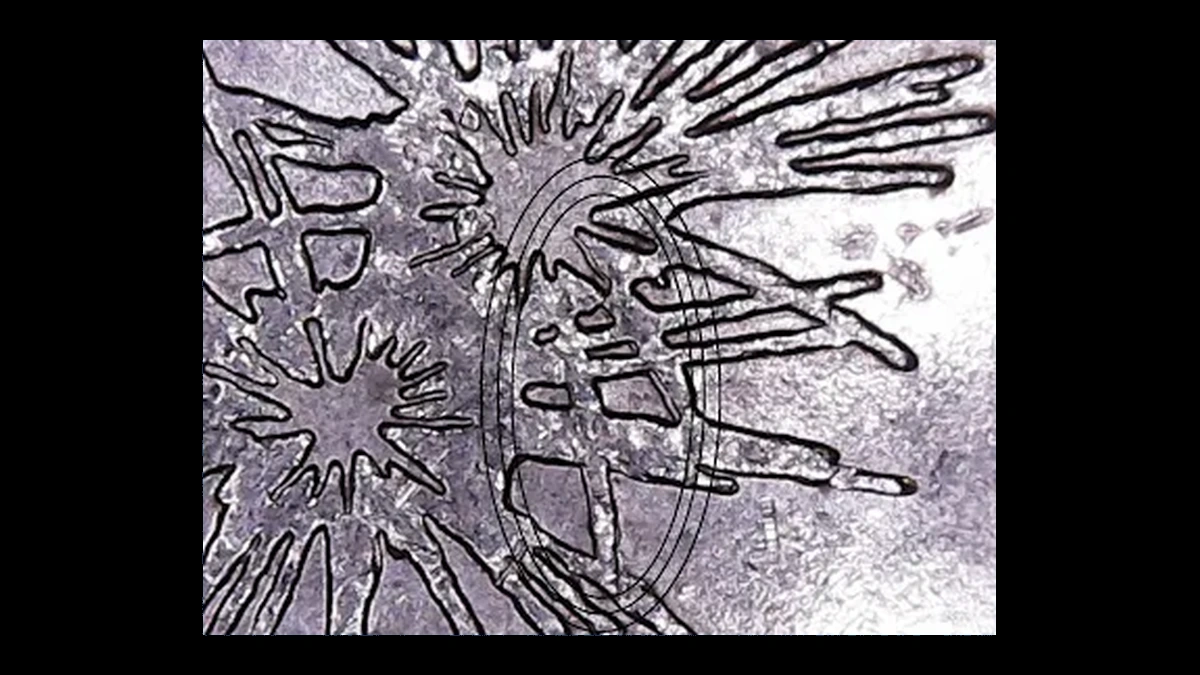 2013 Quarter: Fort McHenry — Doubled Die Reverse