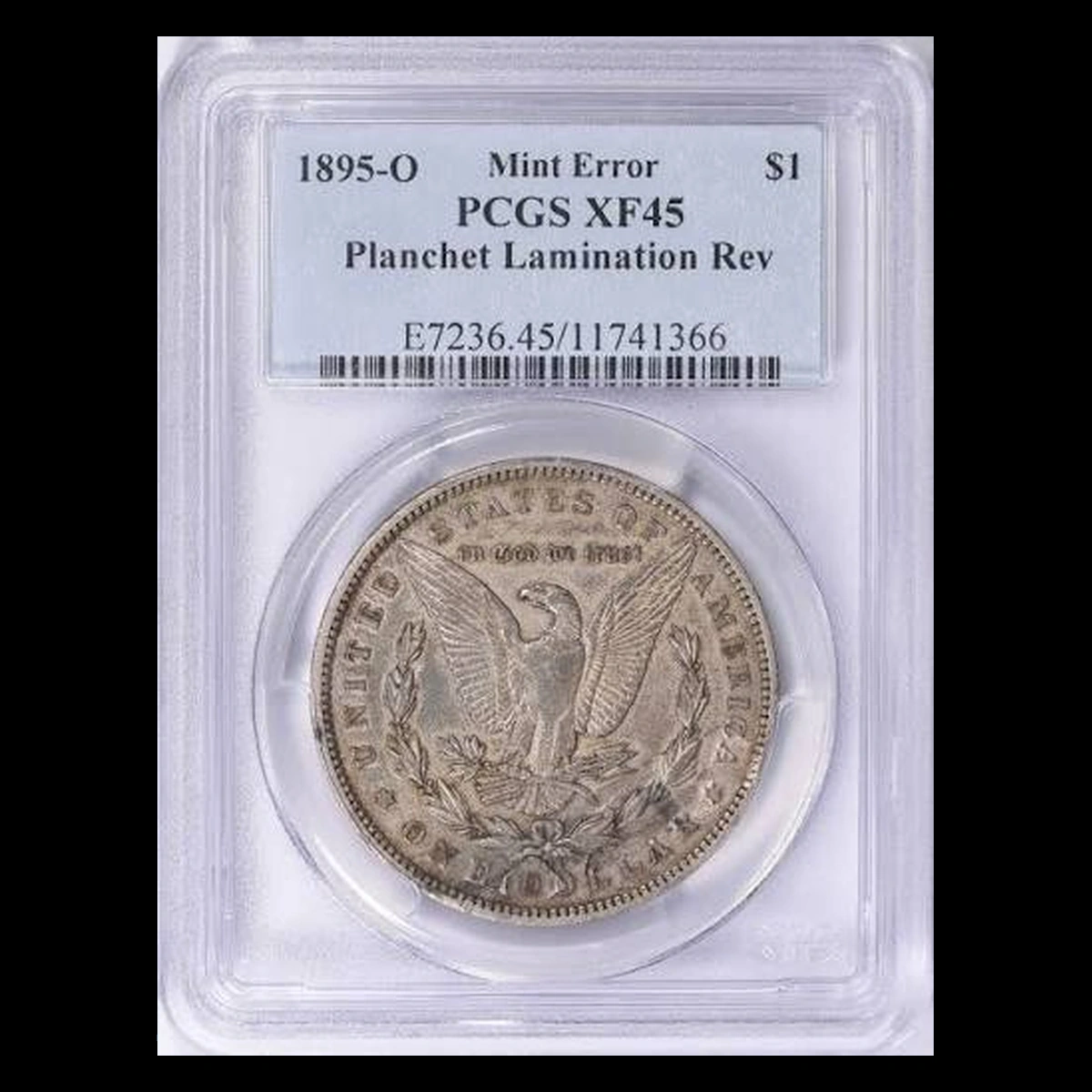 1895 Morgan Dollar: Lamination