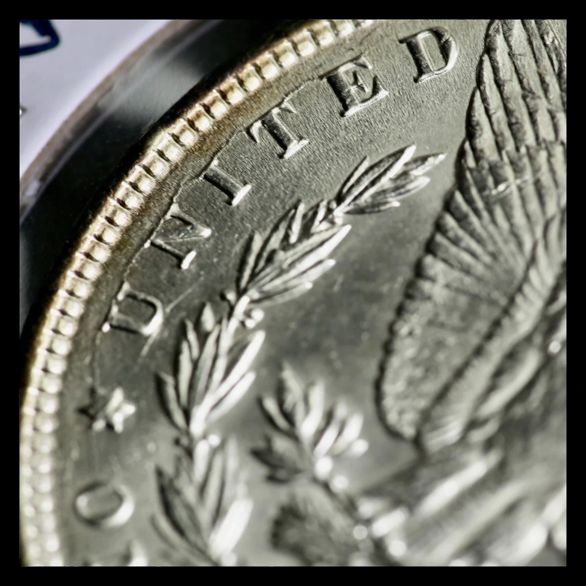 1891 Morgan Silver Dollar: Die Crack / Die Chip