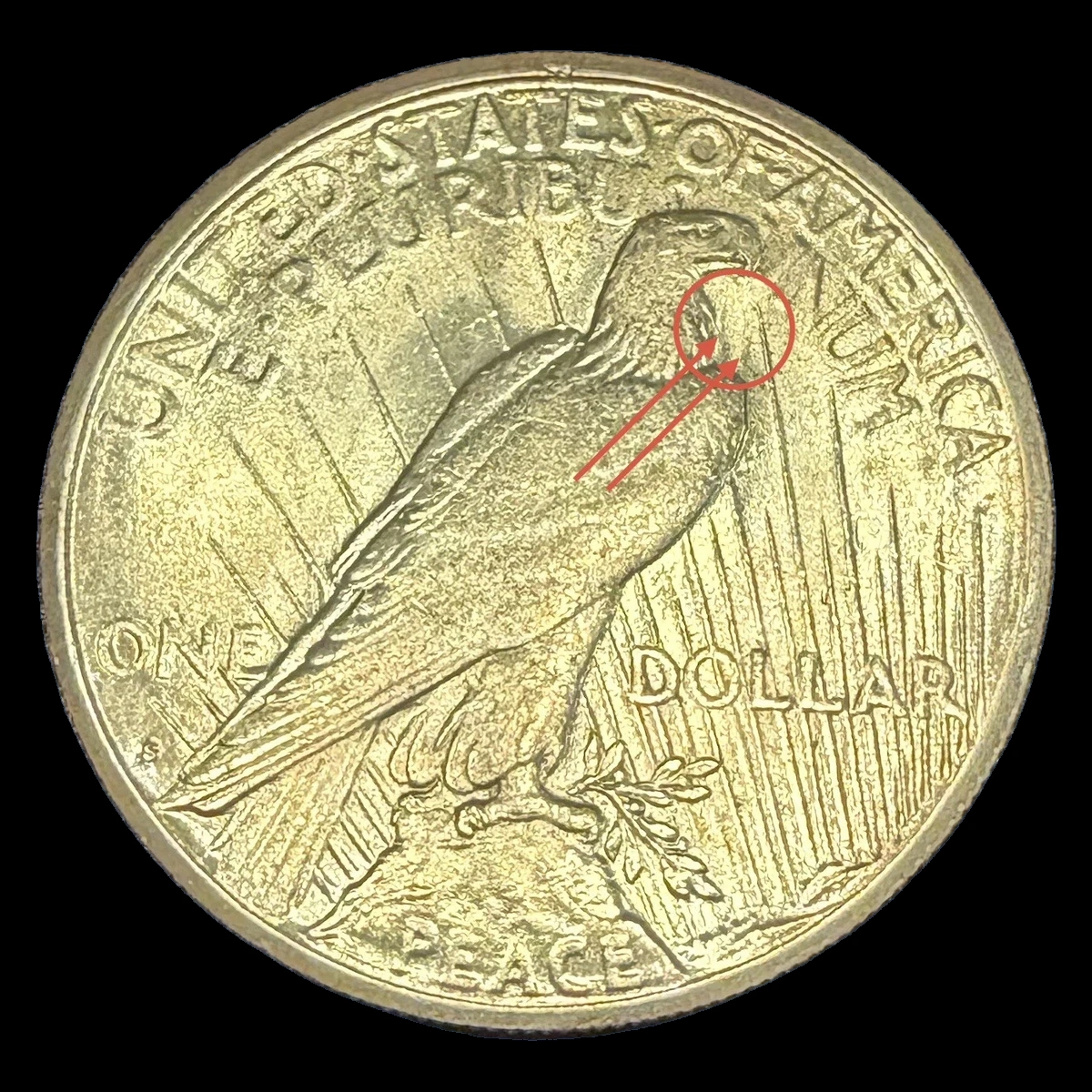 1922 Peace Dollar: Die Clash