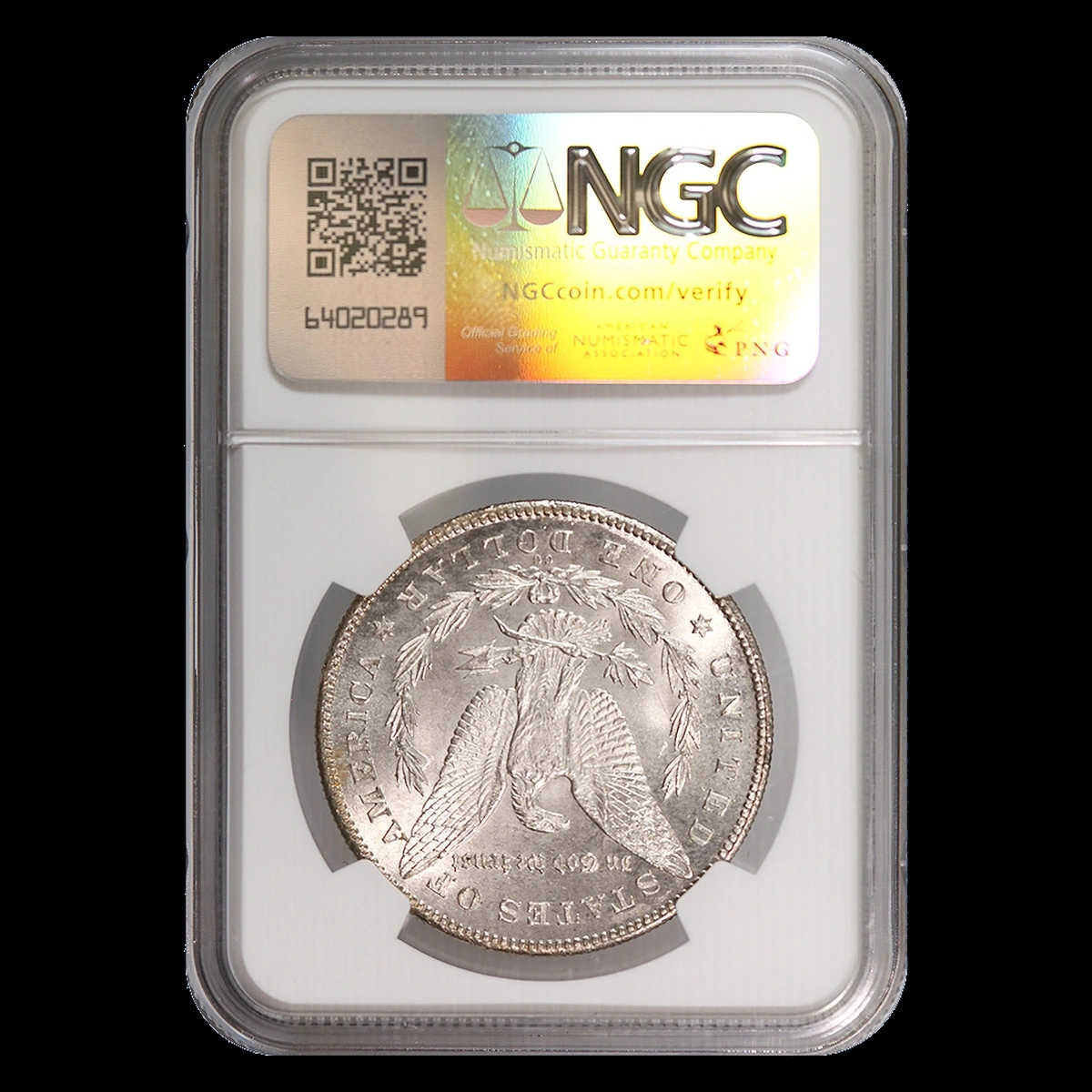 1880 Morgan Dollar: Die Clash