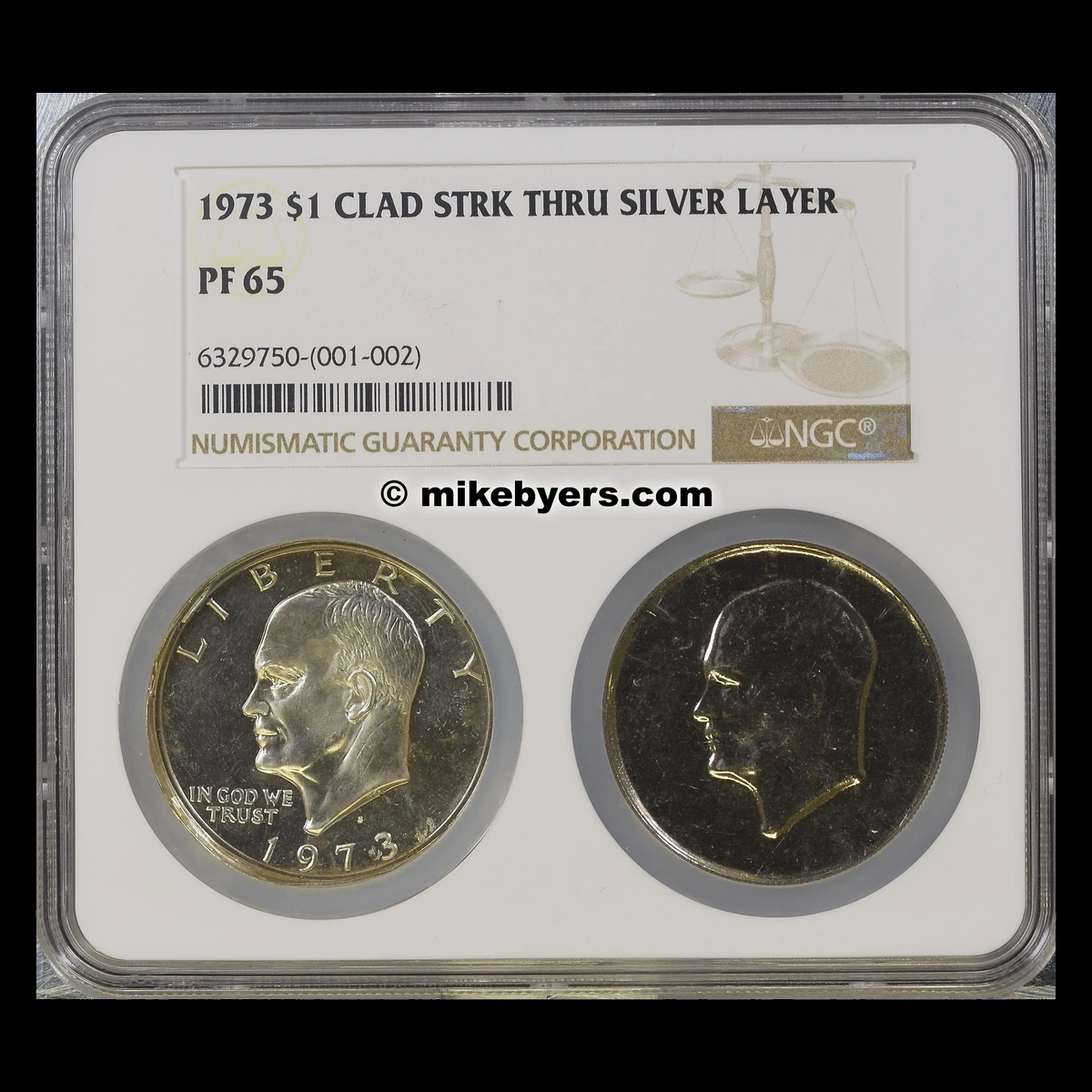 1973 Ike Dollar: Struck Through