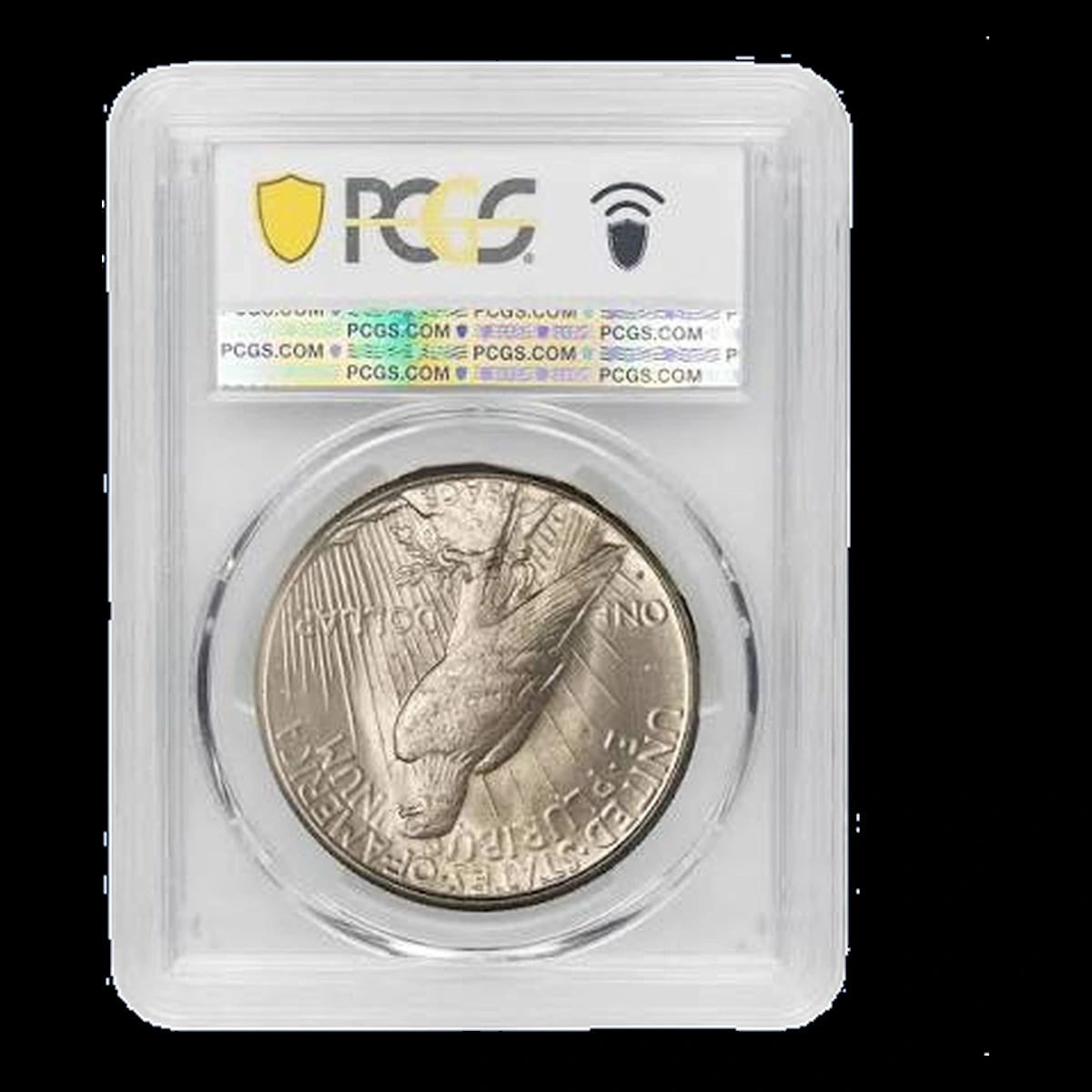 1925 Peace Dollar: Lamination