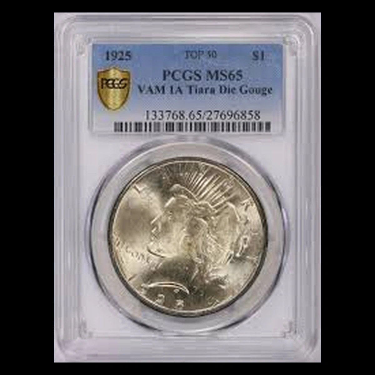 1925 Peace Silver Dollar: Die Gouge / Named Raised-Line Variety