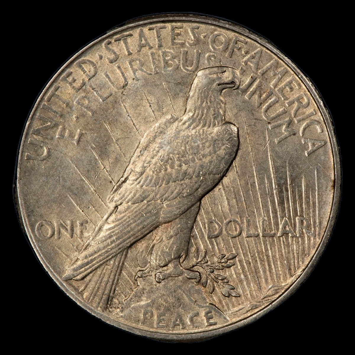 1925 Peace Dollar: Overpolished Die