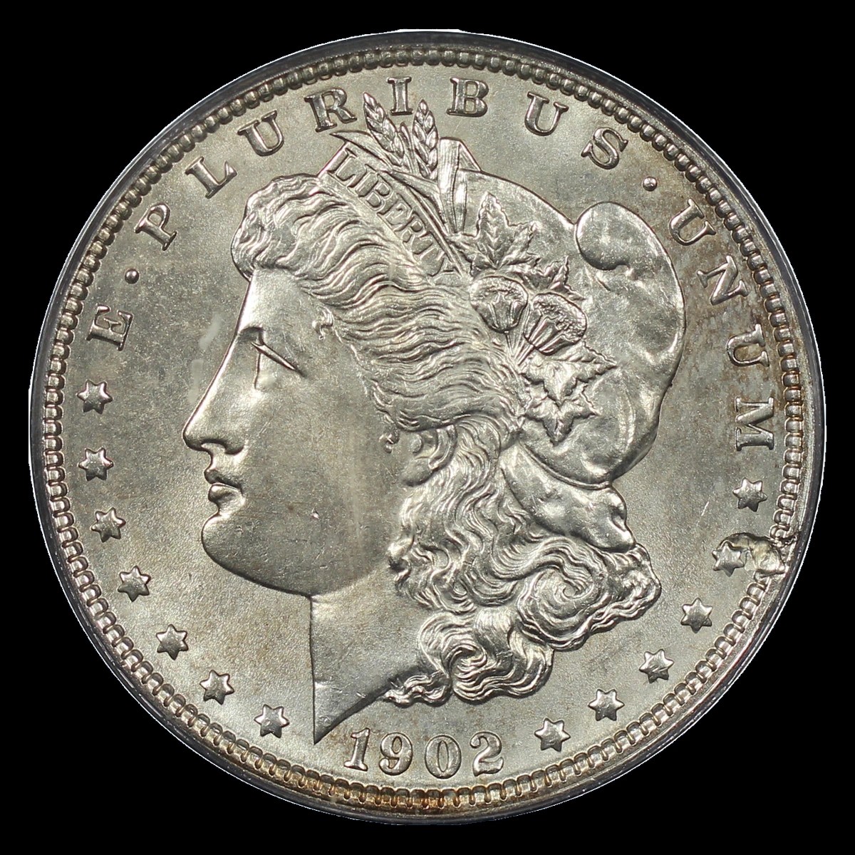 1902 Morgan Dollar: Struck Through