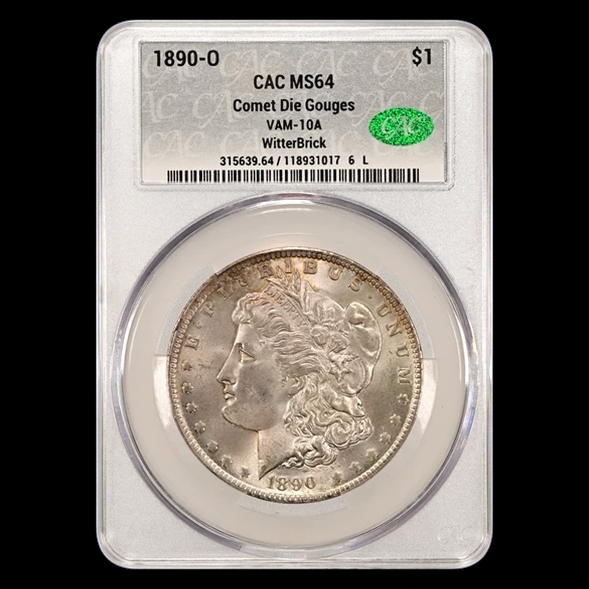 1890 Morgan Silver Dollar: Die Gouge / Named Raised-Line Variety