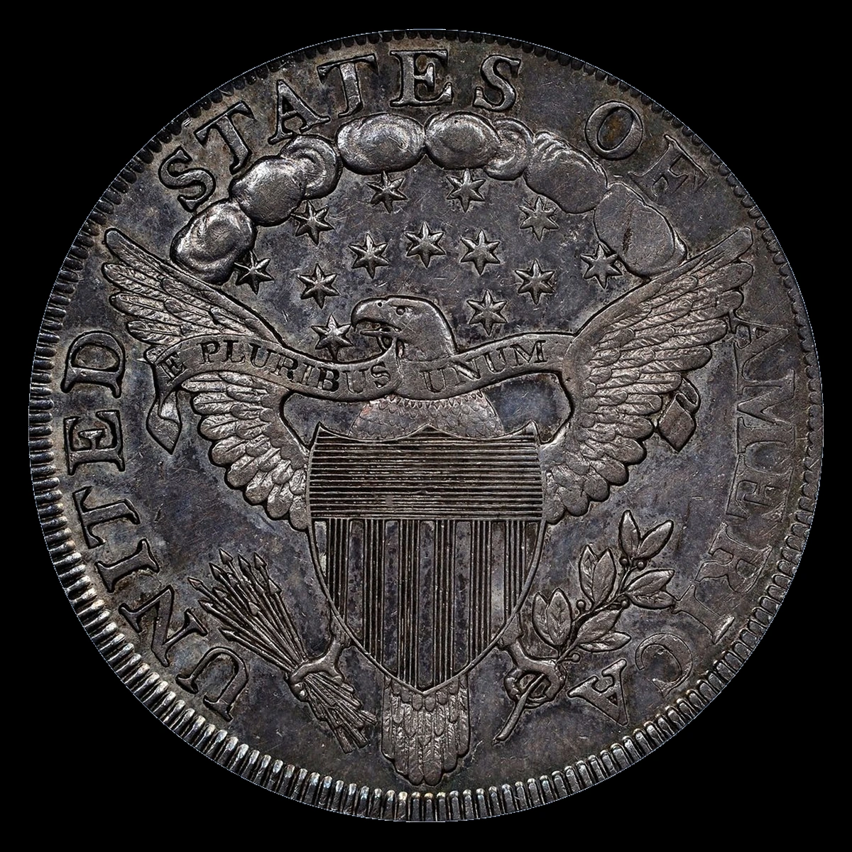 1801 Draped Bust Dollar: Missing Design Detail